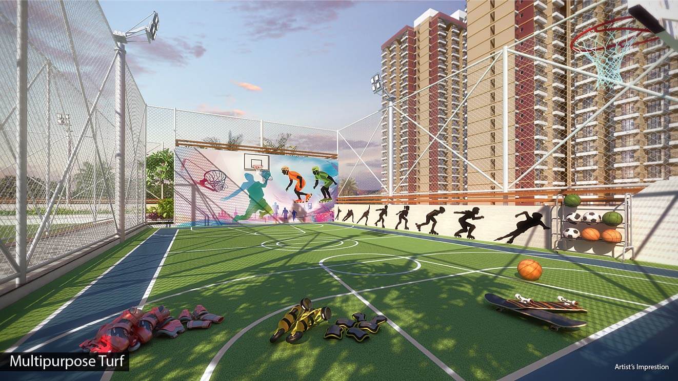 Amenity - Podium skating